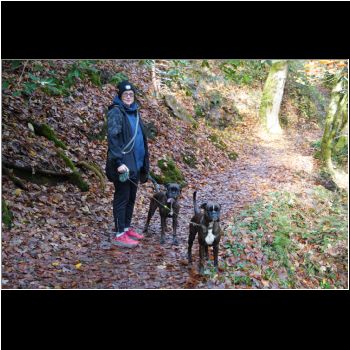 Francie – K9squad