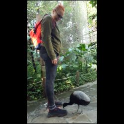 Zoo Lesná
